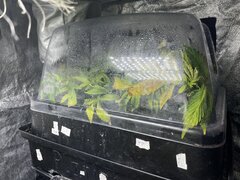 IMG_1053.jpeg