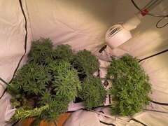 IMG_1057.jpeg