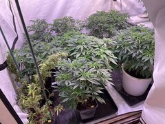 IMG_1058.jpeg