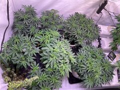 IMG_1059.jpeg