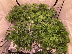 IMG_1060.jpeg