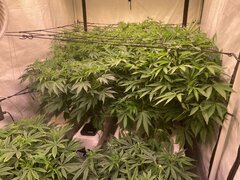IMG_1328.jpeg