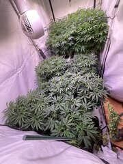 IMG_1330.jpeg