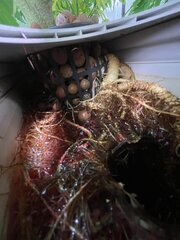 IMG_1331.jpeg