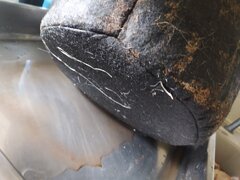 IMG_20250227_122327.jpg