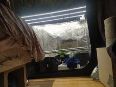 IMG_20250228_163917.jpg