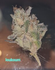 Loukoum2.jpg