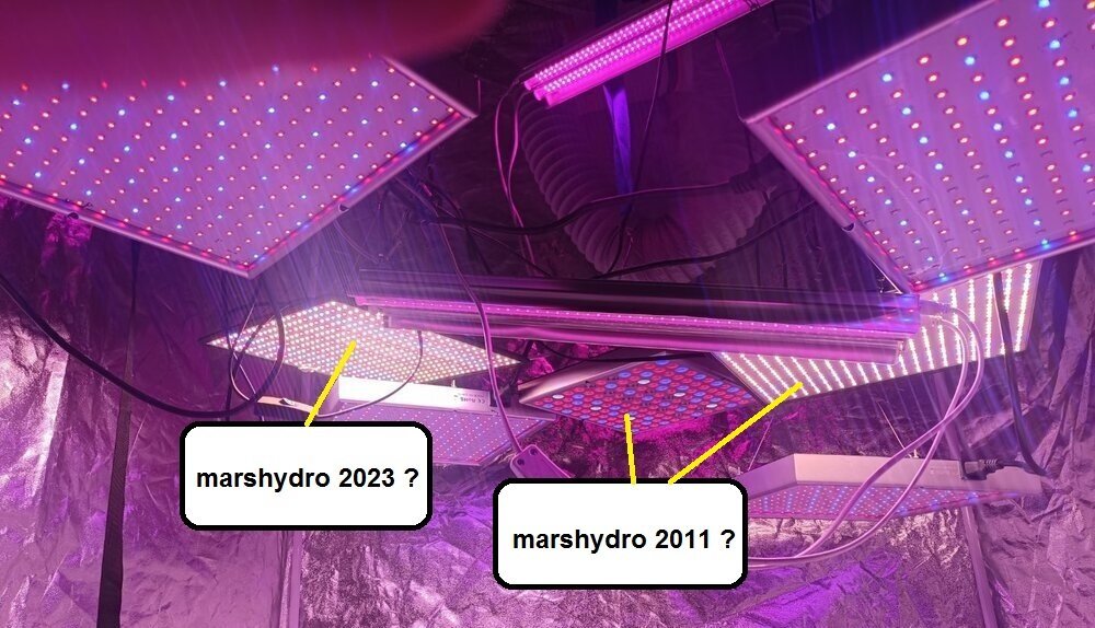 marshydro ou pas.jpg