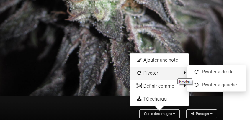 Gallerie perso OUTILS des images.png