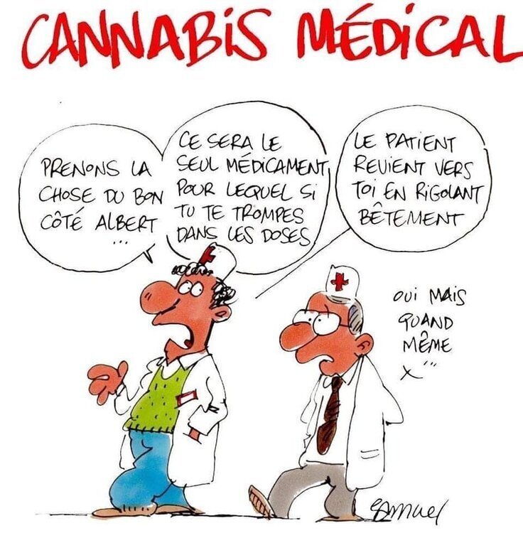 Le cannabis médical p.jpg