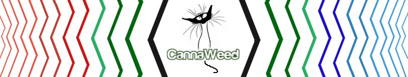 new 15 keu 4.png