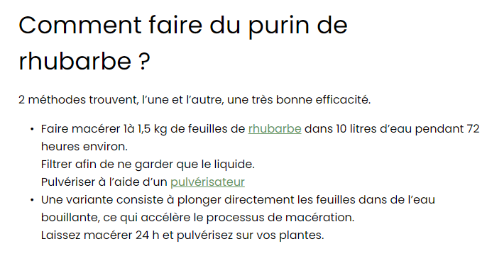 purin de rhubarbe pour repousser inectes.png