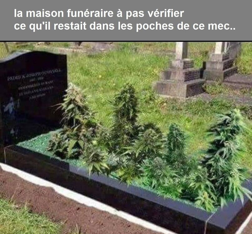 humour canna tomb.jpg