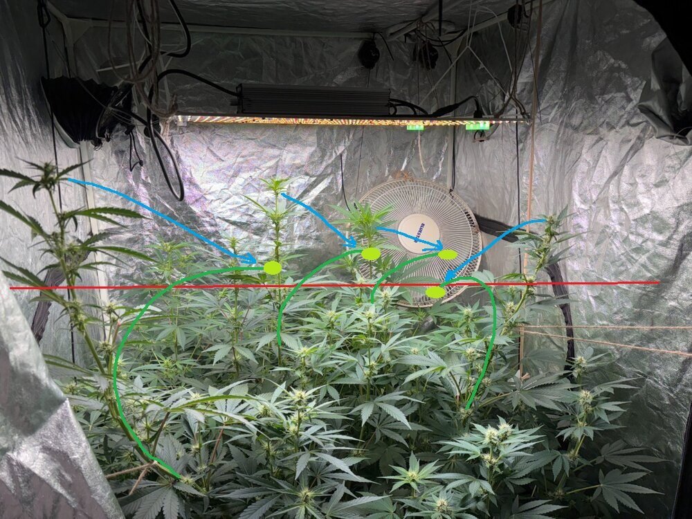 1ere session en led.jpg