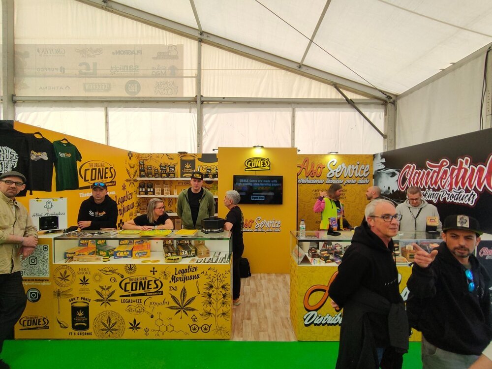 IMG20250316124429.thumb.jpg.6304f737006dd4b285c652fede4ea2c1.jpg