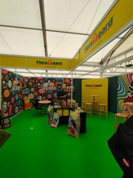 IMG20250316124518.thumb.jpg.c0fe8dd9cf389ccbd4860faffa75e152.jpg