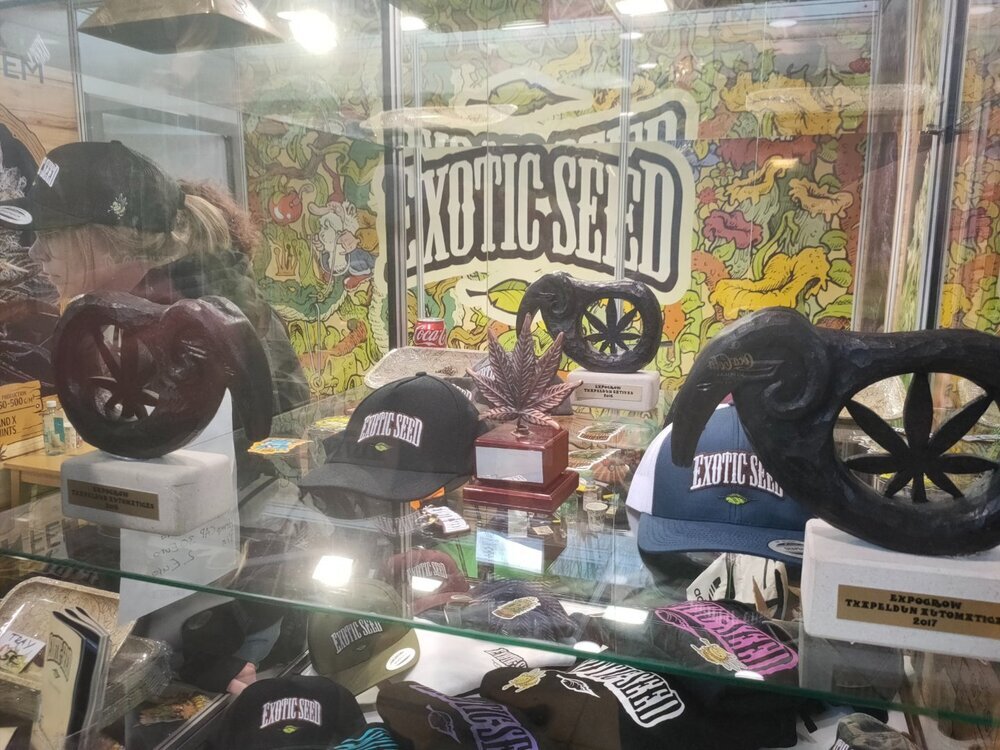 IMG20250316135218.thumb.jpg.252fb46e2f1a94823e9d3e1eb976fd8c.jpg