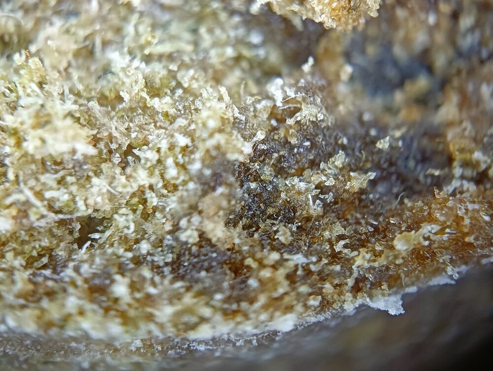IMG20250318214344.jpg