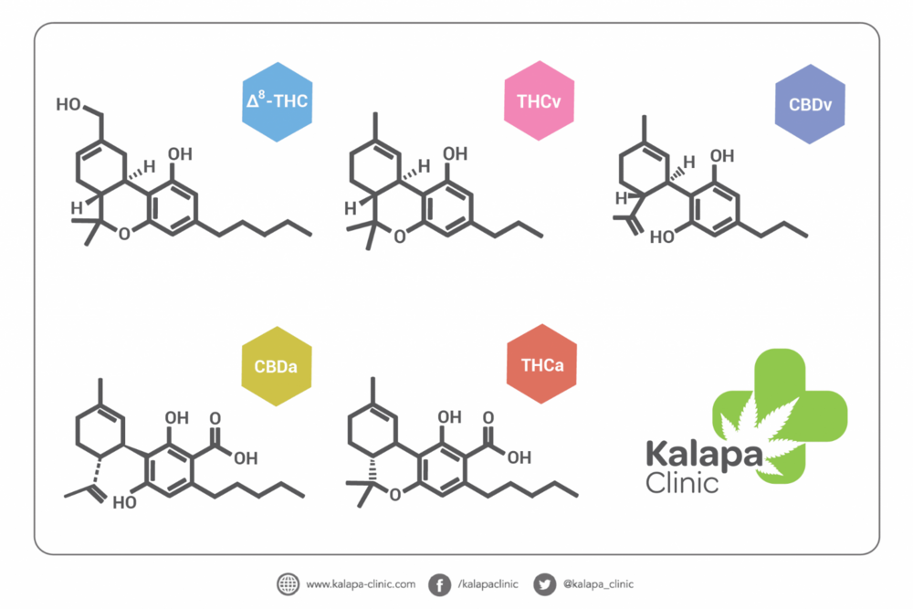 cannabinoides-cannabinoids-cannabinoide-cannabinoidi-2048x1366.png