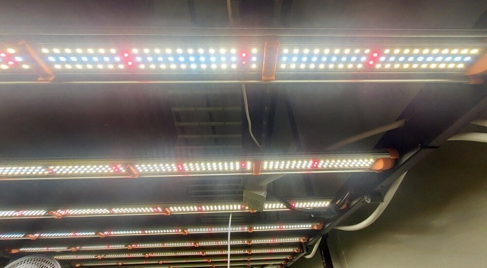 rail-led-pro-u-spectrum-650w.jpg