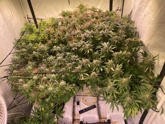 IMG_1763.jpeg