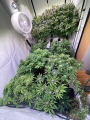 IMG_1780.jpeg