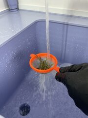 IMG_1810.jpeg