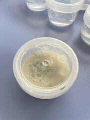 IMG_1812.jpeg