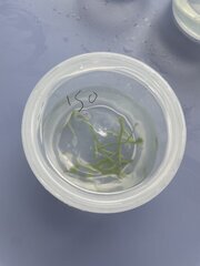 IMG_1814.jpeg