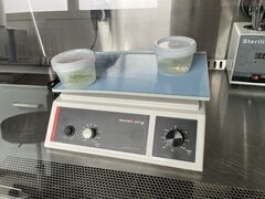IMG_1819.jpeg