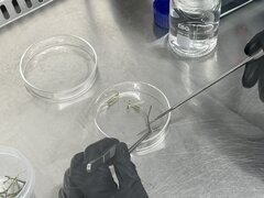 IMG_1850.jpeg
