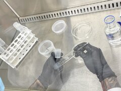IMG_1859.jpeg