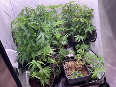 Nursery