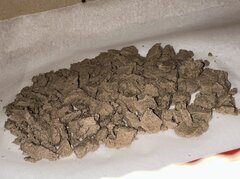 IMG_2466.jpeg