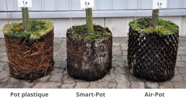 1444585893_Difference-pots-pour-culture-de-cannabis-pot-en-plastique-vs.-Smart-Pot-vs.-Air-Pot.jpg.39a878522d8ddd523701a6cb461d7db3.jpg