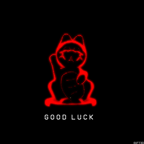 cat luck.gif