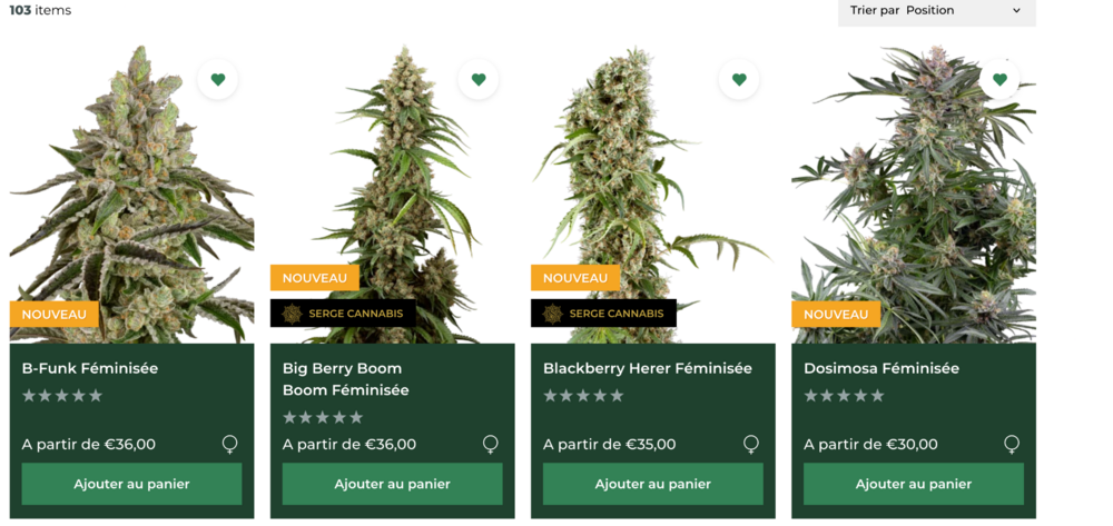 274106184_Capturedecran2025-04-01a17_30_22.thumb.png.030b25c0f9a7f17e29fe45fe9aff9750.png