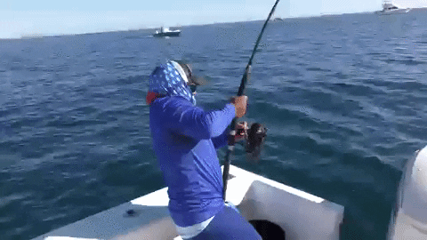 9kSWVsW.gif.762d3f04561763b2cdbaa893000c3ce7.gif