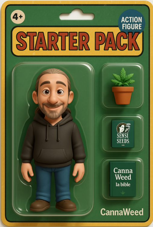 cwsp2.png