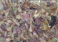 CW Lamic-Tal Purps #1