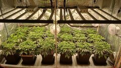 12/12 +14. Dimmer à 80%