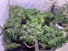 IMG_1927.jpeg