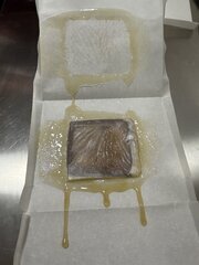IMG_1938.jpeg