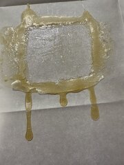 IMG_1943.jpeg