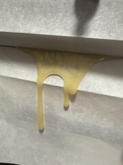 IMG_1947.jpeg
