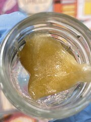 IMG_2213.jpeg