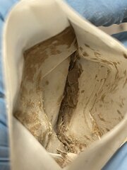 IMG_2222.jpeg