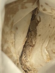 IMG_2224.jpeg