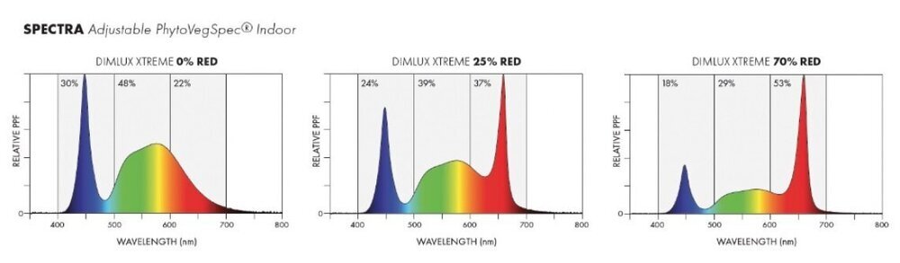 DIMLUX XTREM SERIE.jpg