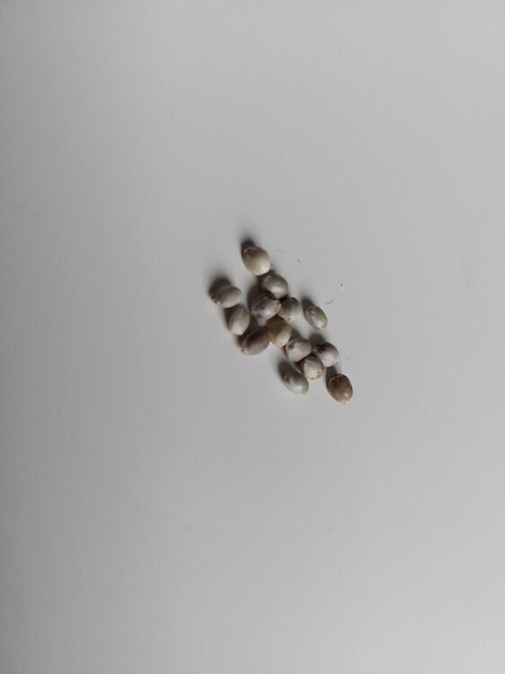 20250504_163504.jpg